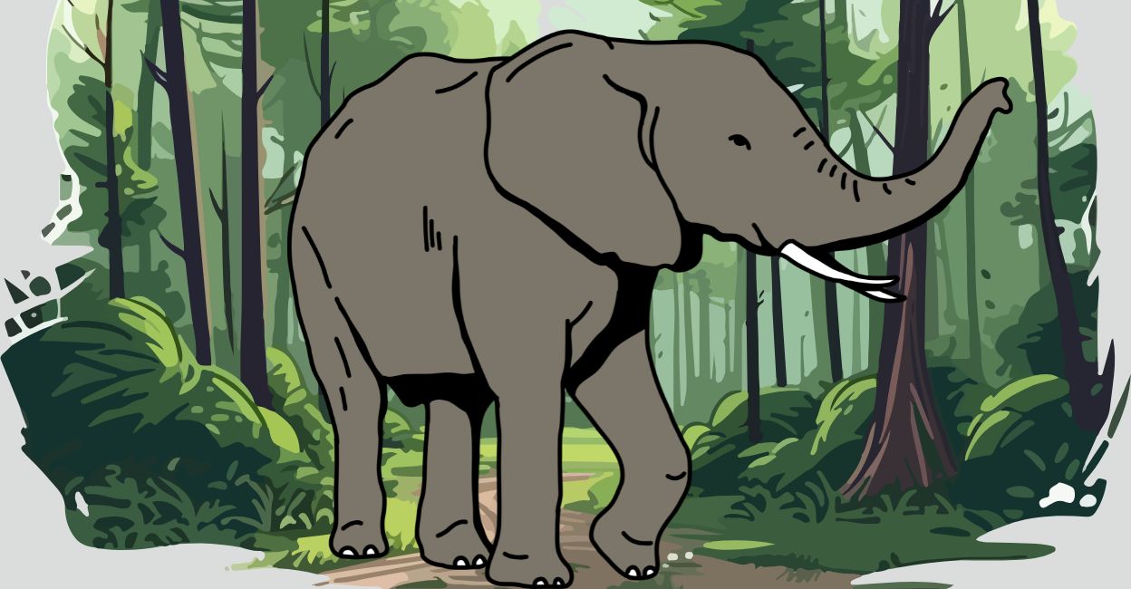 The UDF government's 100-day plan for Wayanad includes new solar fencing, four additional Rapid Response Teams, scientific wildlife studies, and.Wayanad man-animal conflict, solar fencing Kerala, wildlife management Wayanad, Rapid Response Teams forest, forest land disputes, tiger population study, Asiatic elephant census, wildlife conservation India, human-wildlife interaction mitigation, Kerala forest department initiatives, reducing animal incursions, forest boundary resolution, wildlife sanctuary carrying capacity, road accident prevention wildlife, UDF government 100-day plan